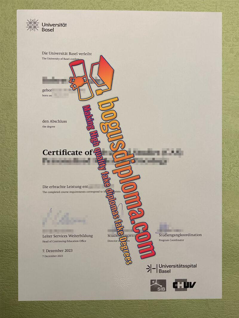 High-quality replica of a University of Basel certificate with authentic details, seals, and accurate formatting.